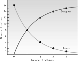 According to the image below,after one half-life has passed,what is the ratio of parent isotopes to daughter isotopes?   A) 16:0 B) 8:8 C) 4:12 D) 2:16
