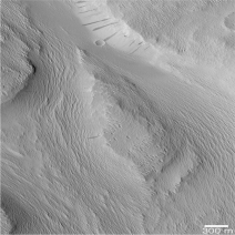 The following is a picture of a landform on Mars.What feature in this picture indicates that Mars may have had running water sometime in the past?   A) deeply cut channels formed by a flowing river B) large sandbars likely formed by a sediment-choked river C) depressions formed during collapse of sinkholes D) a large flat expanse of land,likely a desert