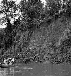 The image below shows a cut bank along a river that was formed by a ________.   A) lahar B) rock fall C) slump D) debris slide