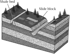 The ________ in the sequence of sedimentary rocks shown below may become a failure surface.   A) bedding planes B) exfoliation joints C) foliation planes D) uplift planes
