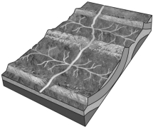 The figure below shows an example of a ________ drainage network.   A) dendritic B) radial C) rectangular D) trellis
