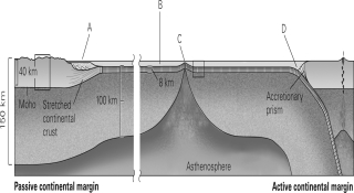 Using the figure below,which of the following lists correctly identifies the various seafloor landforms?   A) A = continental shelf,B = abyssal plain,C = mid-ocean ridge,D = trench B) A = abyssal plain,B = continental shelf,C = mid-ocean ridge,D = trench C) A = continental slope,B = mid-ocean ridge,C = trench,D = volcanic arc D) A = continental shelf,B = abyssal plain,C = trench,D = mid-ocean ridge