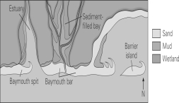 According to this map,where are you most likely to find upwelling currents?   A) the North Pole B) the equator C) the tropics D) the South Pole