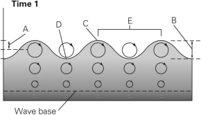 In the figure below,which letters represent the crest and trough?   A) A and B B) E and D C) C and D D) C and B