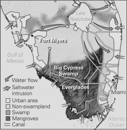 Consult the figure below.What will eventually happen to the Everglades if the people of Miami and Fort Myers do not stop using the water?   A) It will shift toward Lake Okeechobee. B) It will eventually dry up and disappear. C) It will shift to be closer to Fort Myers. D) It will be replenished by recharge.