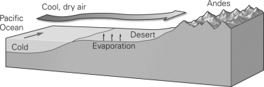 The figure below illustrates the formation of a ________ desert.   A) coastal B) subtropical C) rain-shadow D) continental-interior