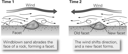 As shown in the figure below,wind erosion can create a faceted rock known as a ________.   A) ventifact B) lag deposit C) yardang D) wadi