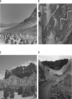 Which of the following images is the result of chemical erosion?   A) A B) B C) C D) D