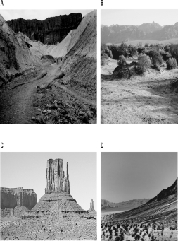 Which of the following images is the result of sediment deposited at the mouth of a canyon?   A) A B) B C) C D) D
