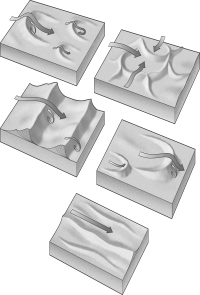 Label the images below with the name of the type of sand dune shown.   