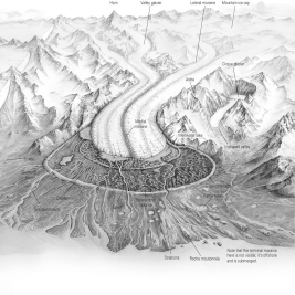 The central glacier in the figure below once stretched all the way to the farthest ground moraine.What type of glacier was it?   A) a continental glacier B) a cirque glacier C) a piedmont glacier D) an ice cap