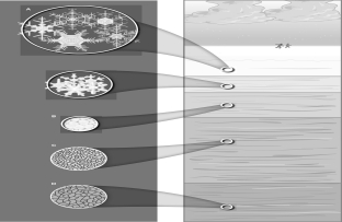 Which of the following images shows the oldest snow?   A) A B) B C) C D) D