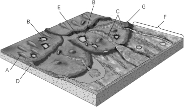 Identify the farthest reach of the glacier in the figure below.   A) E B) C C) G D) F