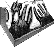 Label the glaciers in the image below using words from the word bank included (hint: not all the names will be used).   \begin{array}{c} \begin{array}{lll} \text {Pledmont glacier}\\ \text {Continental glacier}\\ \text {Tidewater glacier}\\ \end{array} \begin{array}{lll} \\ \text {Valley glacier}\\ \text {Hanging glacier} \end{array} \begin{array}{lll} \text {Cirque glacier}\\ \text {Ice apron}\\ \text {Mountain ice cap}  \end{array} \end{array}       