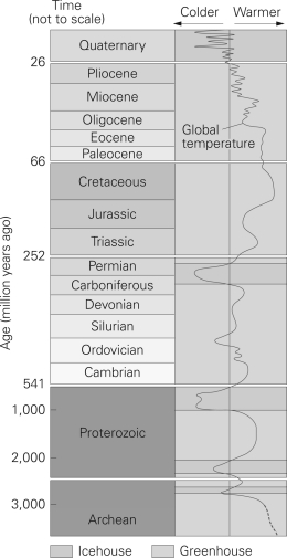 Using the graph below,when was the first period of global cooling?   A) Quaternary B) Archean C) Proterozoic D) Jurassic