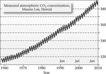 According to the figure below,how much has atmospheric carbon dioxide (CO₂) increased in parts per million (ppm) in approximately the last 50 years?   A) from about 310 to 320 ppm B) from about 360 to 390 ppm C) from about 320 to 390 ppm D) from about 380 to 390 ppm