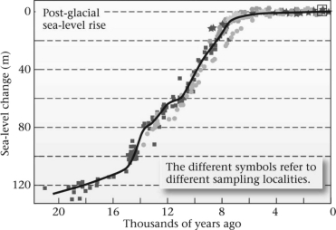 The figure below shows changes in sea level since the last ice age ended.Based on this,if Earth were to enter another ice age similar to the last one,what would the sea level most likely do?   A) rise about 120 m B) rise about 20 m C) fall about 20 m D) fall about 120 m