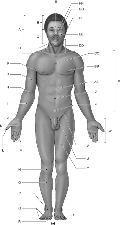 Figure 1.2     Using the figure above, identify the labeled part. -Label M: ______________________________