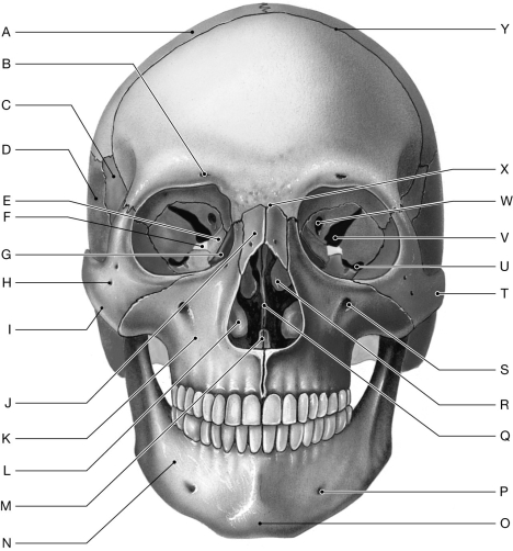 Figure 6.2     Using the figure above, identify the labeled items. -Label Y: ______________________________