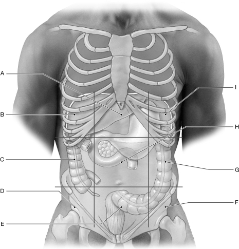 Figure 25.5     Using the figure above, identify the labeled part. -Label F: ______________________________