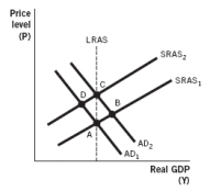 Refer to the following figure to answer the next  questions.   -Based on the figure, which points represent short-run equilibrium? A)  A and B B)  A and C C)  A and D D)  B and D E)  A, B, C, and D
