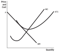 Refer to the accompanying set of graphs to answer thequestions. Graph A   Graph B   Graph C   Graph D   Graph E   -Which graph would result in firms entering a perfectly competitive market in the long run? A)  A B)  B C)  C D)  D E)  E