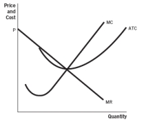 Refer to the accompanying set of graphs to answer thequestions. Graph A   Graph B   Graph C   Graph D   Graph E   -Which graph would result in firms entering a perfectly competitive market in the long run? A)  A B)  B C)  C D)  D E)  E