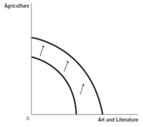 Use these production possibilities frontier (PPF)  curves, which compare the ancient production of agricultural products to art and literature, to answer the next four questions. a.Graph A     b.Graph B     c.Graph C     d.Graph D     e.Graph E    -Suppose a new generation of baby boomers is entering the workforce.Which graph best depicts how this would affect the PPF? A)  Graph A B)  Graph B C)  Graph C D)  Graph D E)  Graph E