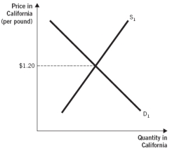 The following two graphs depict the equilibrium price of a pound of grapes in California and West Virginia, respectively. Assume the type and quality of the grapes being sold in the two states are identical. Further, assume grape sellers incur zero costs to transport grapes between the two states and there are no other barriers to trade. Use these graphs to answer the next three questions:        -According to the law of one price,the supply curve in the California grape market will ______________,and the supply curve in the West Virginia grape market will _____________. A)  shift to the right; also shift to the right B)  shift to the left; shift to the right C)  shift to the right; shift to the left D)  shift to the left; also shift to the left E)  shift to the left; not shift
