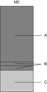 In the following figure,identify each of components A,B,and C of the M2 money supply   A)  A = checking deposits and currency,B = CDs and money market mutual funds,C = savings deposits B)  A = CDs and money market mutual funds,B =checking deposits and currency,C = savings deposits C)  A =savings deposits and checking deposits,B =CDs and money market mutual funds,C = M1 D)  A = savings deposits,B=CDs and money market mutual funds,C =checking deposits and currency E)  A = M1,B = CDs and money market mutual funds,C =checking and savings deposits
