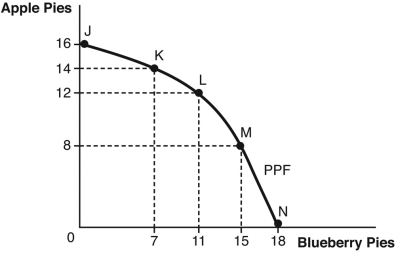 use the figure below  to answer the following questions :   -The opportunity cost of increasing production of apple pies from 14 to 16 pies is ________ pies. A)  2 blueberry B)  14 apple C)  7 blueberry D)  4 blueberry E)  16 blueberry