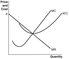 Refer to the accompanying set of graphs to answer the following questions. A.   D.   B.   E.   C.   -Which graph would result in firms exiting a perfectly competitive market in the long run? A)  A B)  B C)  C D)  D E)  E
