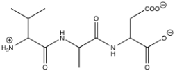 What is the sequence of the following peptide?   A) Ile-Ala-Glu B) Val-Ala-Asp C) Leu-Gly-Glu D) Val-Ala-Asn E) Val-Gly-Gln
