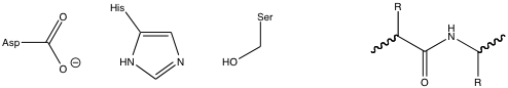 Given the chymotrypsin catalytic triad and the peptide substrate,draw the first tetrahedral intermediate of the chymotrypsin mechanism.  