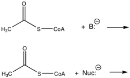 The most common reactions of acetyl acetyl-CoA are with a nucleophile or with a base.Show the reactions of acetyl CoA with the generic base and the generic nucleophile:  