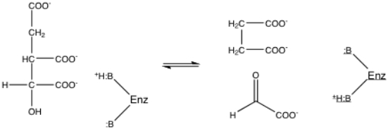The glyoxylate cycle reaction catalyzed by isocitrate lyase is a reversible aldol condensation.As it is written below,the reaction is an aldol cleavage.Propose a mechanism for this reaction using the acid and base supplied by the enzyme.  