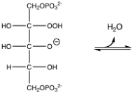 Reaction of ribulose-1,5-bisphosphate with oxygen and then water results in the following intermediate.Show the resulting products from this reaction:  
