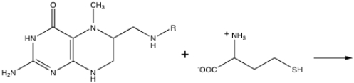 Show the products of the following reaction.  