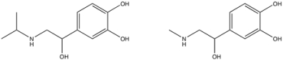 <strong>The structures of isoproterenol (left)and epinephrine are shown below.What is isoproterenol? </strong> A)agonist B)antagonist C)inverse agonist D)irreversible agonist E)non-competitive antagonist