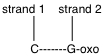 Which is a possible outcome when guanine is oxidized to 8-oxoguanine in the following segment of DNA?    A)    is the only possible outcome B)    is the only possible outcome C)    is the only possible outcome D) both   and   are possible outcomes E) both   and   are possible outcomes