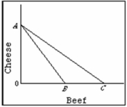 The data given is for two hypothetical nations, Wat and Xat. The nations have the Production Possibilities Curves (PPC)  for units of rice and corn as given below.    -Refer to the diagram below in which, line AB is the Canadian production possibility curve and AC is its trading possibilities curve. We can conclude that Canada:   A)  has chosen to specialize in the production of cheese. B)  has chosen to specialize in the production of beef. C)  has decided to trade beef for cheese. D)  is relatively more efficient than its trading partners in producing both cheese and beef.