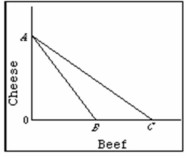 Refer to the diagram below in which line AB is Canadian production possibility curve and AC is its trading possibilities curve. The international exchange ratio between beef and cheese (terms of trade) :   A)  is the absolute value of slope of line AB. B)  is the absolute value of slope of line AC. C)  could lie anywhere between the absolute value of the slopes of lines AB and AC. D)  cannot be determined on the basis of this information.