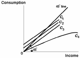   -Refer to the above diagram. The APC diminishes as income increases for: A)  none of the consumption schedules shown. B)  C<sub>3</sub> only. C)  C<sub>1,</sub> and C<sub>2</sub>. D)  C<sub>4</sub> only.