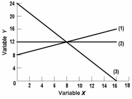   -The linear equation for line (1)  on the above graph is: A)  y = 8 + 2x. B)  y = 8 + .5x. C)  x = 8 + .5y. D)  y = 8 - 2x.