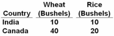 The production possibilities table given below shows how many bushels of either wheat or rice can be produced in India and Canada with 1 unit of input.To achieve gains from specialization:   A)  India should export rice to Canada and import Canadian wheat. B)  India should export wheat to Canada and import Canadian rice. C)  Canada should produce both wheat and rice and not trade with India. D)  India should produce both wheat and rice and not trade with Canada. India has a comparative advantage in producing rice (an opportunity cost of 1 vs.2) while Canada has a comparative advantage in producing wheat (an opportunity cost of ½ vs.1) .Therefore,India should export rice and Canada should export wheat.