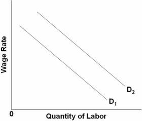   Refer to the above graph.What will shift D<sub>1</sub> to D<sub>2</sub>? A)  An increase in the price of a complementary input B)  A decrease in the demand for the product produced by the labor C)  An increase in the price of a substitute input (if the output effect is greater than the substitution effect)  D)  An increase in the price of a substitute input (if the substitution effect is greater than the output effect) 