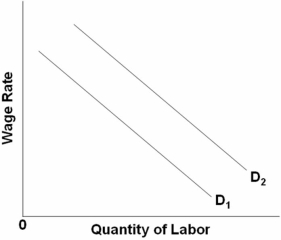   Refer to the above graph.What will shift D<sub>1</sub> to D<sub>2</sub>? A)  An increase in the price of a substitute input (if the output effect is greater than the substitution effect)  B)  A decrease in the price of a substitute input (if the substitution effect is greater than the output effect)  C)  A decrease in the price of a substitute input (if the output effect is greater than the substitution effect)  D)  An increase in the price of a complementary resource