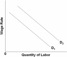   Refer to the above graph.What will shift D<sub>2</sub> to D<sub>1</sub>? A)  An increase in productivity B)  A decrease in product demand C)  A decrease in the price of complementary input D)  An increase in the price of a substitute input (if the substitution effect is greater than the output effect) 