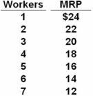 A firm operating in a purely competitive labor market has the following marginal revenue product schedule.   If the wage rate decreases from $17 to $13,by how much will the firm expand employment? Refer To: 10-69 A)  5 workers B)  4 workers C)  3 workers D)  2 workers At the wage rate of $17 the firm hires 4 workers.At the lower wage rate of $13 the firm hires 6 workers.In both cases the wage rate is below (or equal to) the MRP.