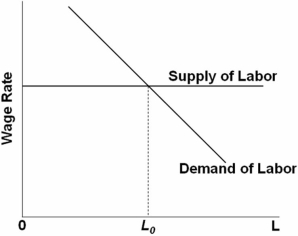   Refer to the above graph.It shows a firm that buys its inputs and sells its output in competitive markets.If labor productivity decreases,the equilibrium level of employment for this firm is expected to be: A)  L<sub>0</sub>. B)  zero. C)  lower than L<sub>0</sub>. D)  higher than L<sub>0</sub>.